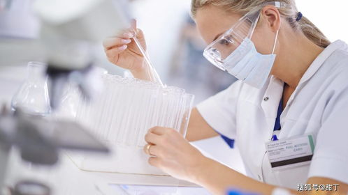 甘孜试管代生代怀全流程揭秘：从胚胎培养到成功分娩的真实经历